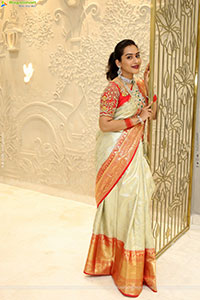 Preethi Singh Poses with Traditional Jewellery, HD Gallery