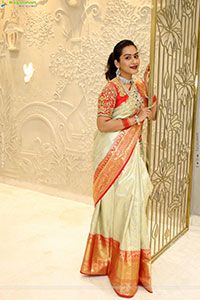 Preethi Singh Poses with Traditional Jewellery, HD Gallery