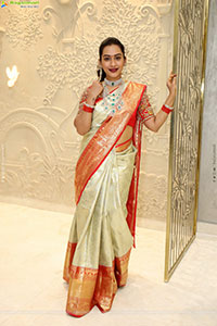 Preethi Singh Poses with Traditional Jewellery, HD Gallery