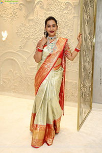 Preethi Singh Poses with Traditional Jewellery, HD Gallery