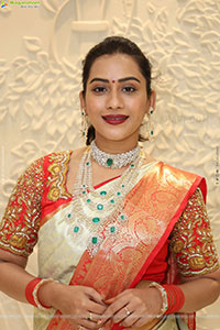 Preethi Singh Poses with Traditional Jewellery, HD Gallery
