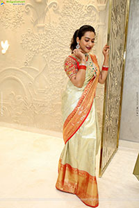Preethi Singh Poses with Traditional Jewellery, HD Gallery