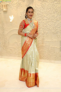 Preethi Singh Poses with Traditional Jewellery, HD Gallery