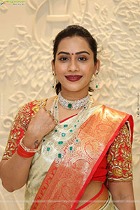 Preethi Singh Poses with Traditional Jewellery, HD Gallery