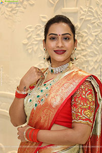 Preethi Singh Poses with Traditional Jewellery, HD Gallery