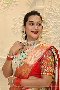 Preethi Singh Poses with Traditional Jewellery, HD Gallery