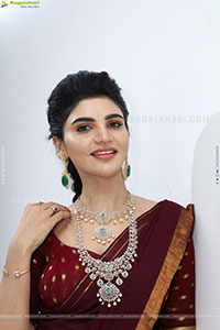 Varsha poses with Designer Jewellery, HD Gallery
