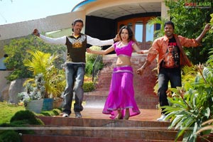 Kaushal, Asha Shaini