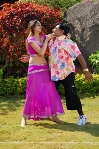 Kaushal, Asha Shaini