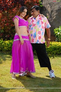 Kaushal, Asha Shaini