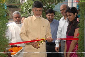 Local TV Office Inaugurated By Nara Chandrababu Naidu