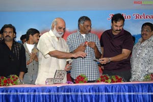 Sreesailam Audio Release