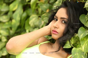 Pooja Sree Telugu Heroine