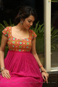 Diksha Panth Photos