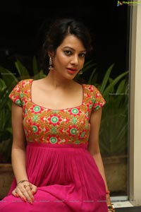 Diksha Panth Photos