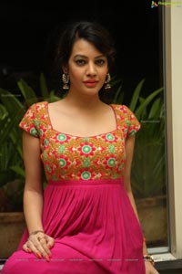 Diksha Panth Photos