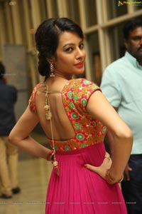 Diksha Panth Photos