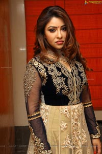 Payal Ghosh High Resolution Pictures