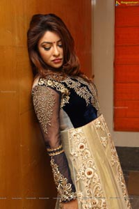 Payal Ghosh High Resolution Pictures