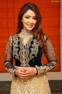 Payal Ghosh High Resolution Pictures