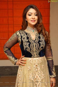 Payal Ghosh High Resolution Pictures