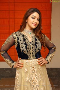 Payal Ghosh High Resolution Pictures