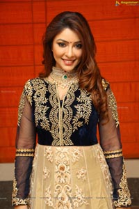 Payal Ghosh High Resolution Pictures