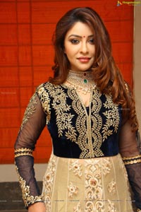 Payal Ghosh High Resolution Pictures