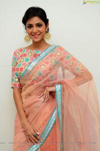 Priyanka Bharadwaj Saree