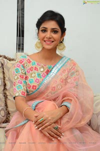 Priyanka Bharadwaj Saree