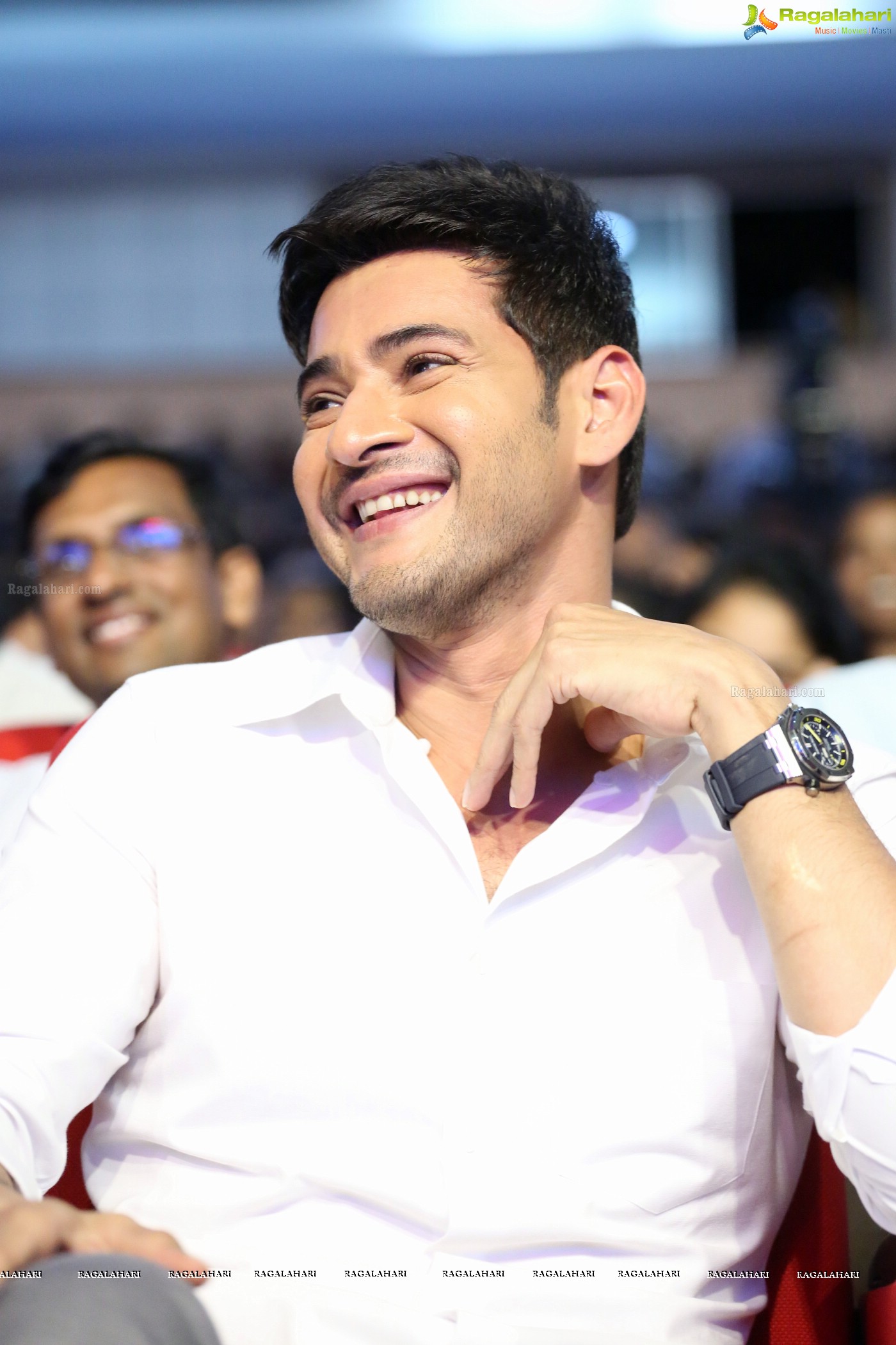 Mahesh Babu (Posters)