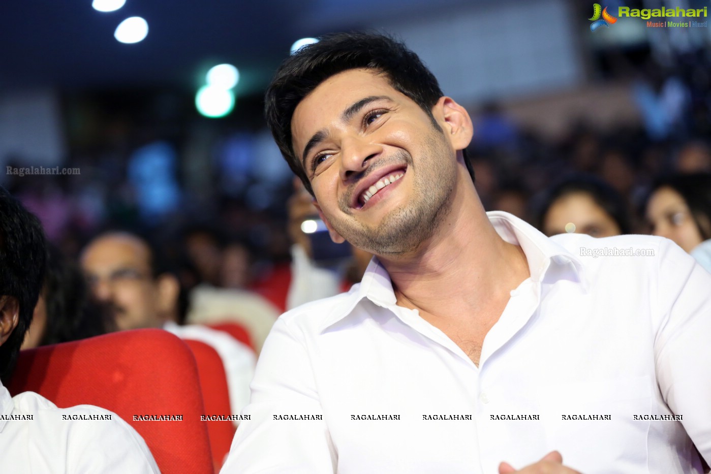 Mahesh Babu (Posters)