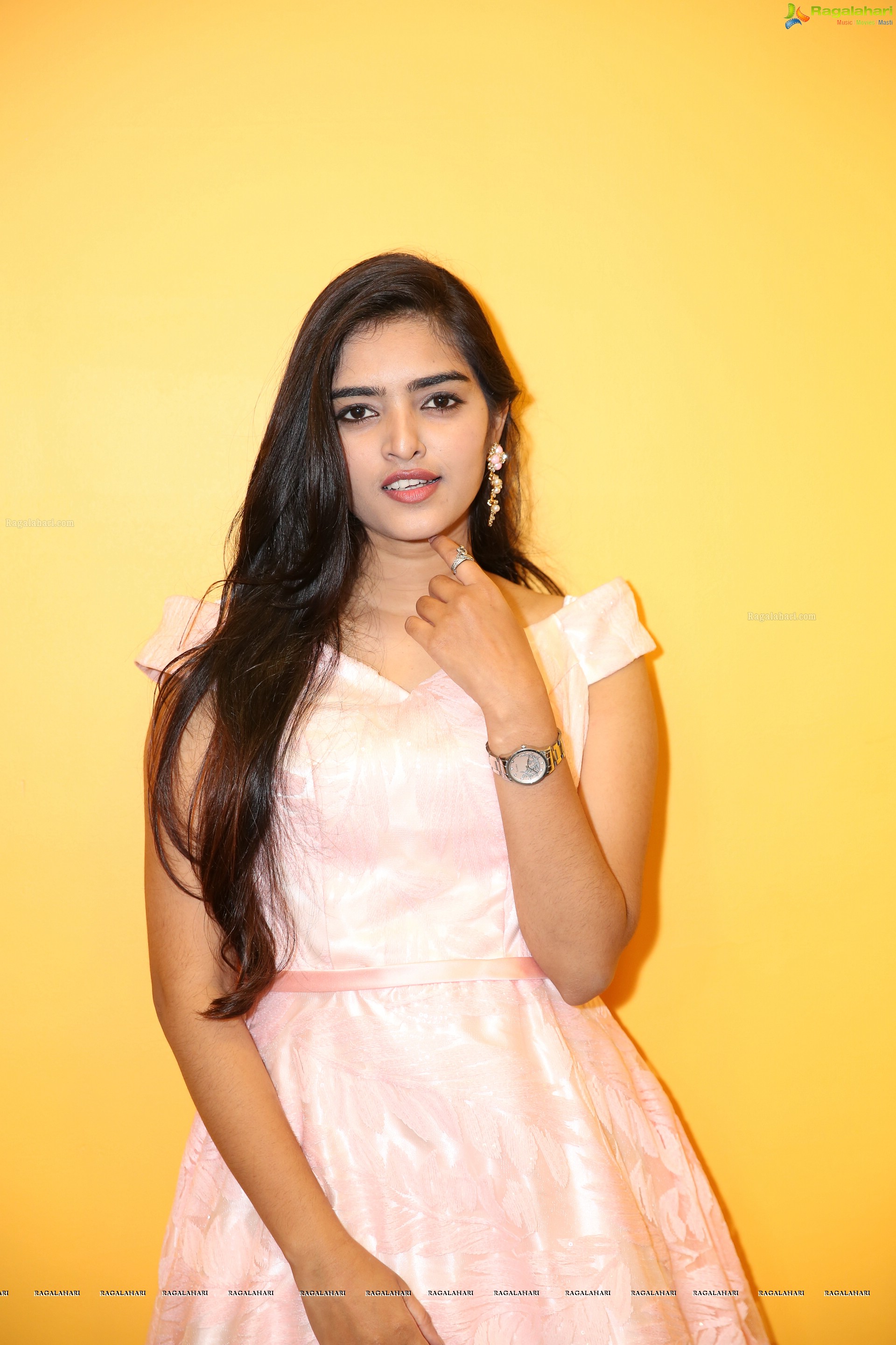 Heena Farheen at The Belgian Waffle Launch (High Definition Photos)