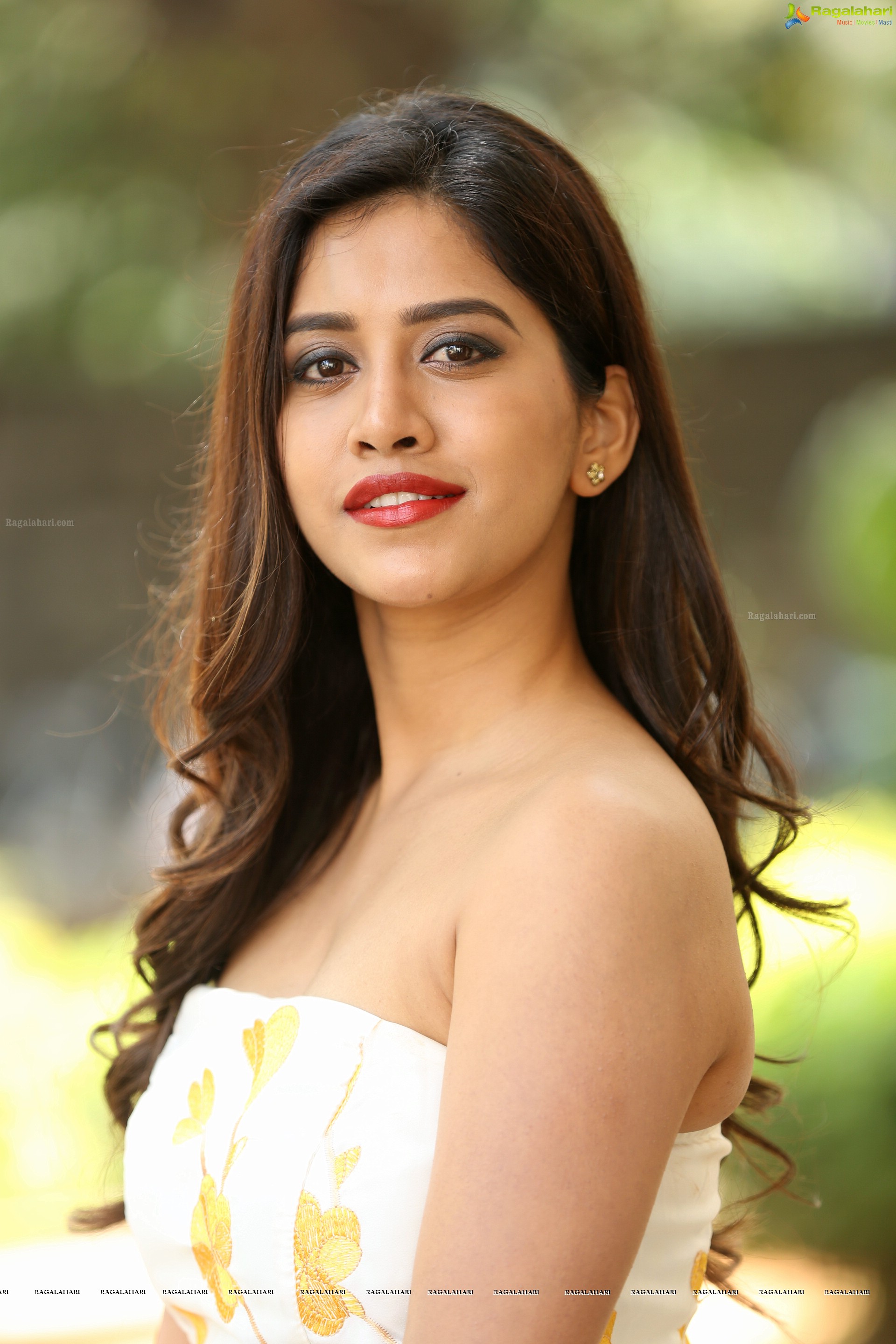 Nabha Natesh at Nannu Dochukunduvate Thank You Meet (High Definition Photos)