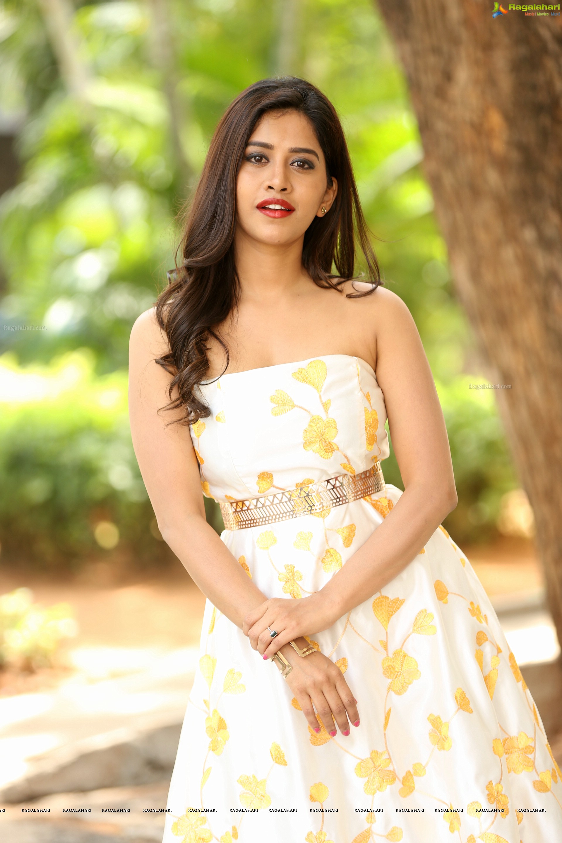 Nabha Natesh at Nannu Dochukunduvate Thank You Meet (High Definition Photos)