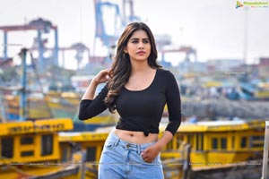 Nabha Natesh