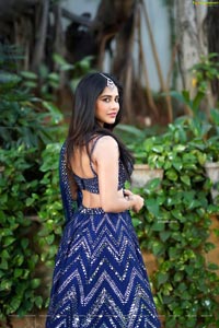 Nabha Natesh