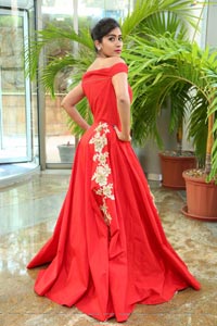 Preethi Singh Model