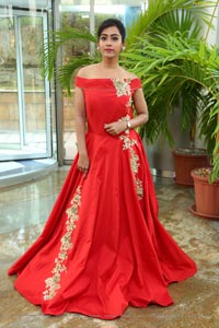 Preethi Singh Model