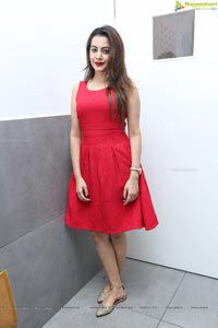 Diksha Panth Photos