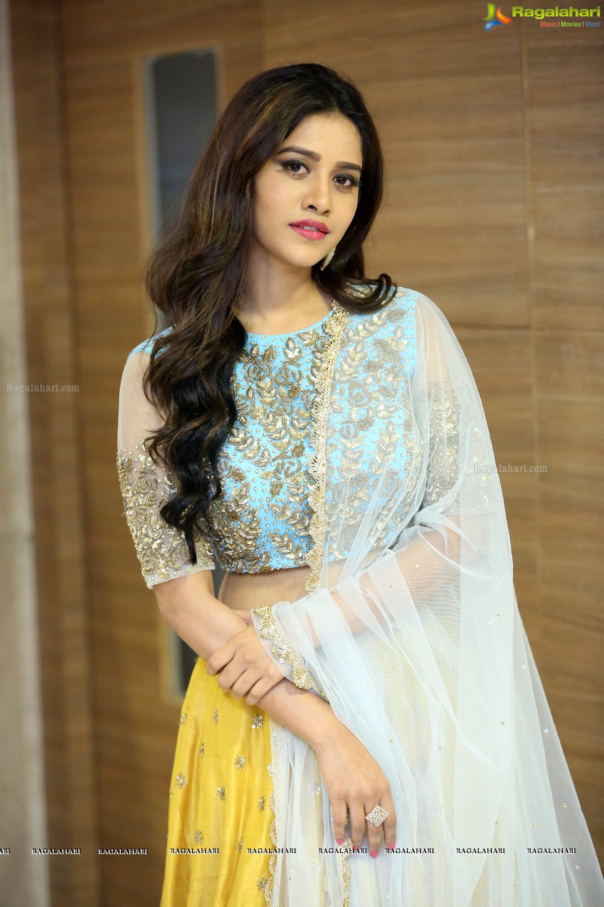 Nabha Natesh at Nannu Dochukunduvate Pre-Release Event