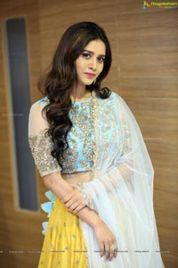 Nabha Natesh