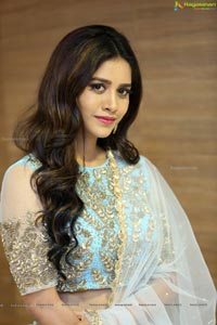 Nabha Natesh