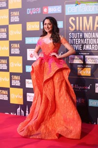 Pragya Jaiswal SIIMA 2018