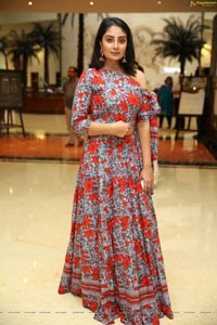 Bhanushree Mehra at Arkayam Exhibition