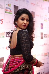 Jyothi at Dadasaheb Phalke Awards South 2019