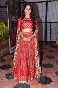 Mrunalini at Valmiki Pre Release Event