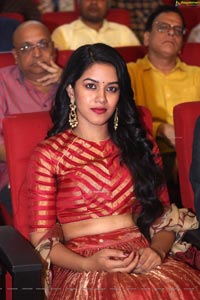 Mrunalini at Valmiki Pre Release Event