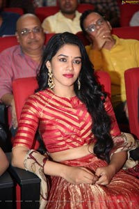 Mrunalini at Valmiki Pre Release Event