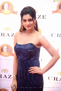 Payal Rajput at Dadasaheb Phalke Awards South 2019